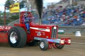 10 wayne tedder_500x333.jpg